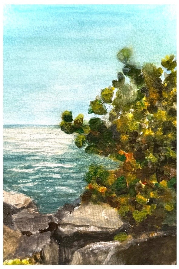 Florida Seascape 4X6in