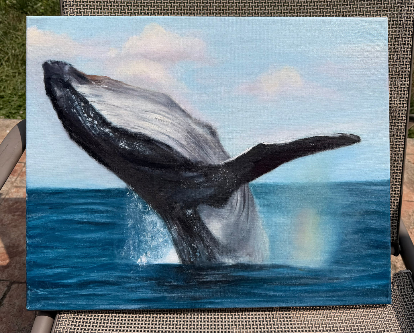 Humpback Whale Original