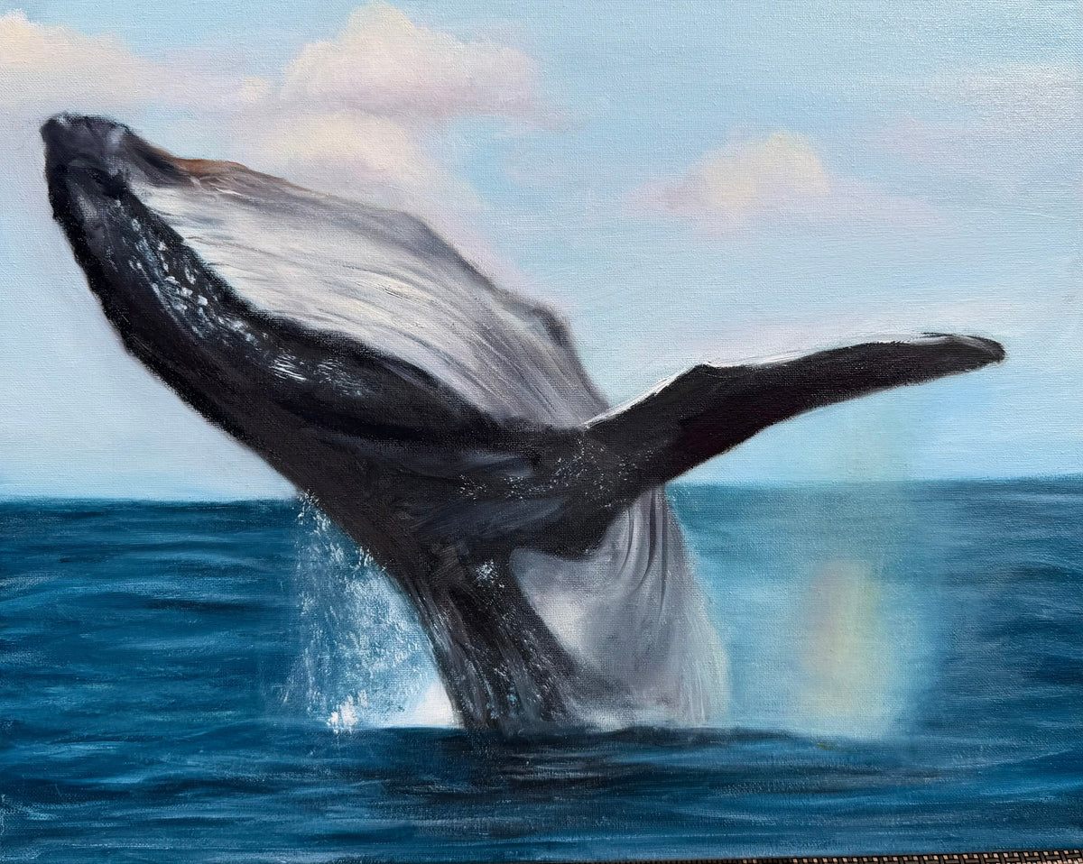 Humpback Whale Original