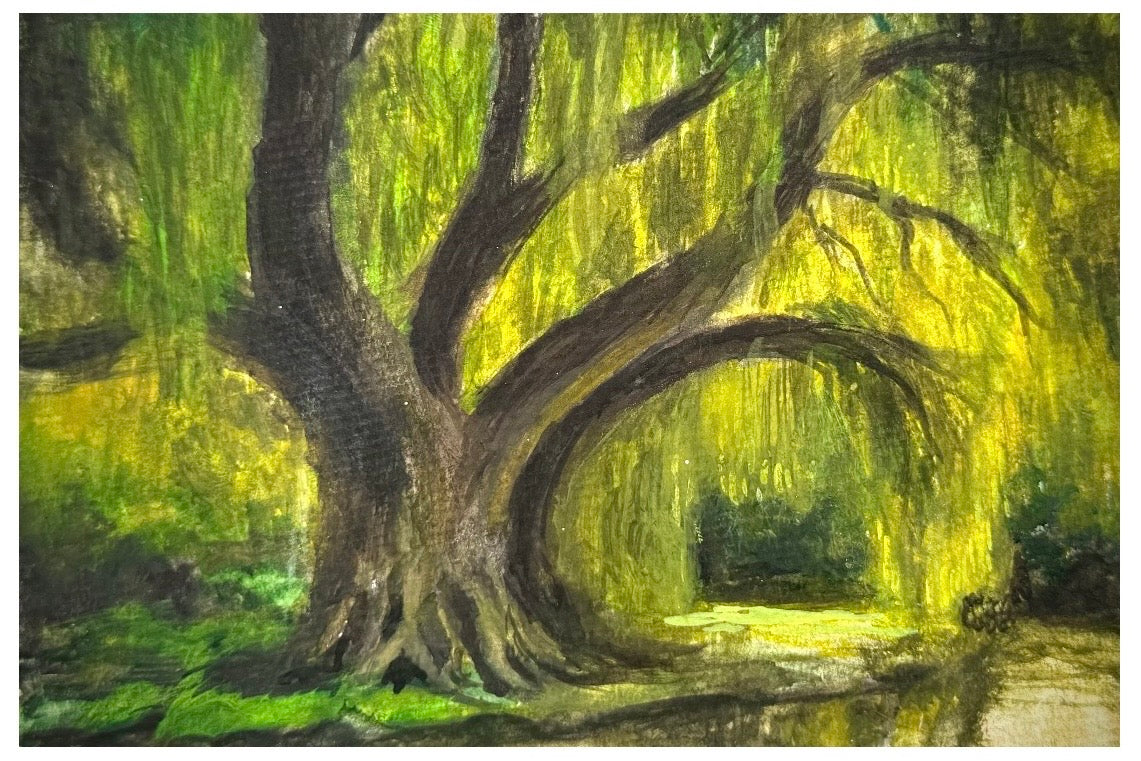 Weeping Willow 4x6in