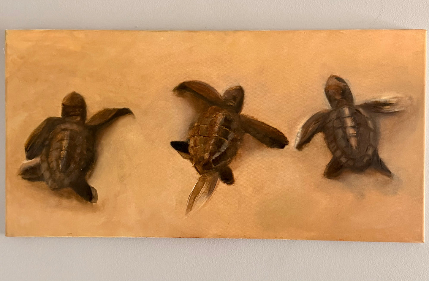 Sea Turtles Original 12x24in