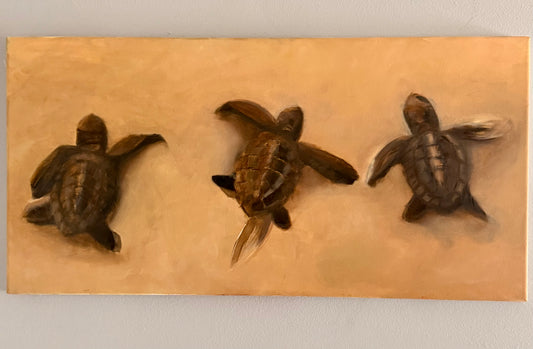 Sea Turtles Original 12x24in