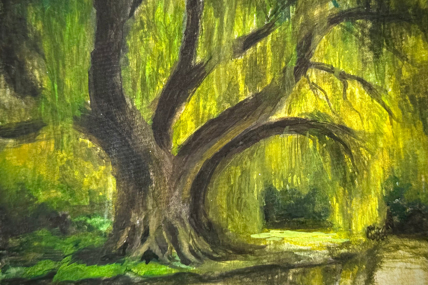 Weeping Willow 4x6in