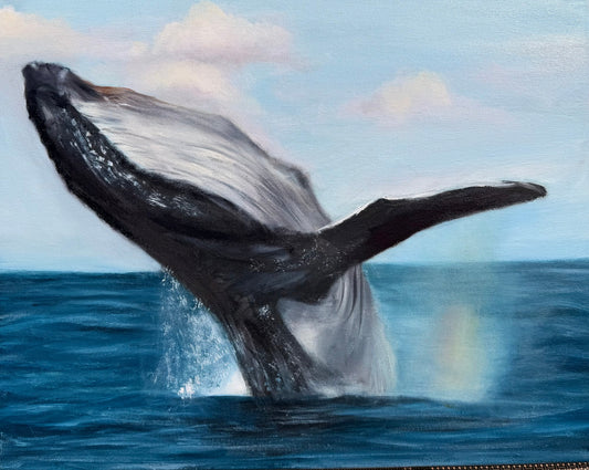 Humpback Whale Original